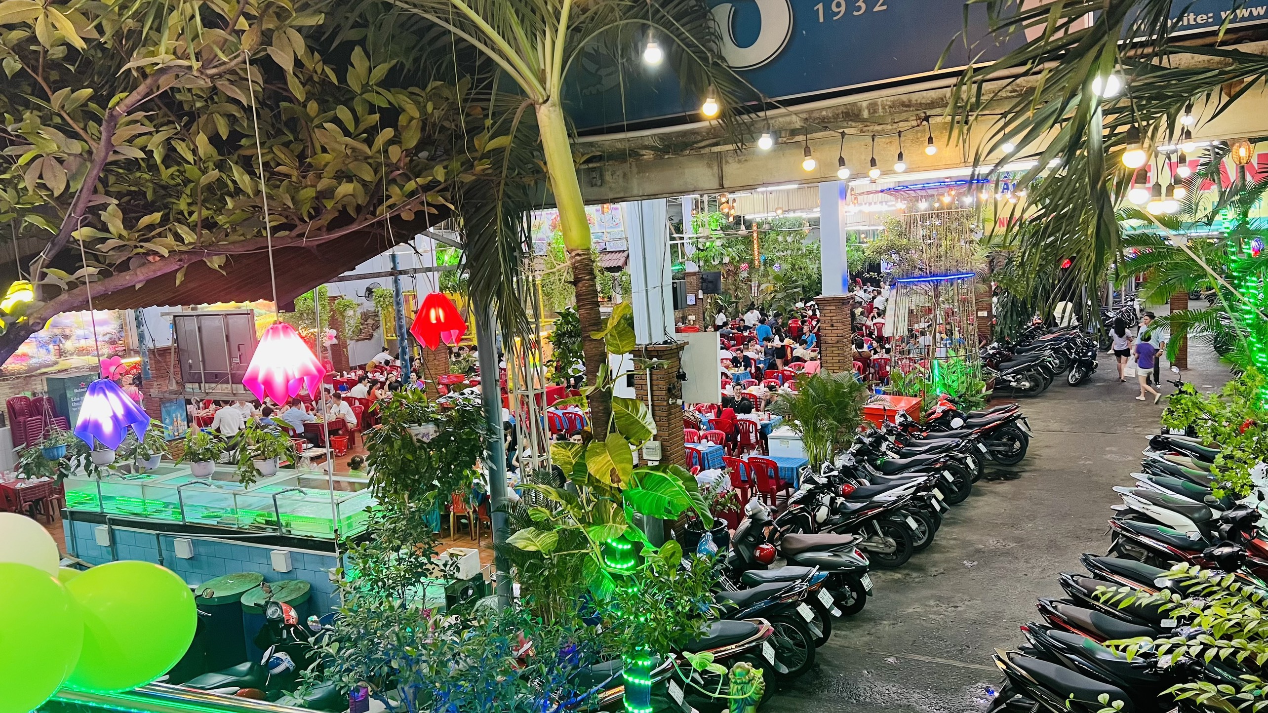 Không gian Tre vàng buổi tối